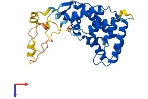 NR0B2 Protein (AA 1-257) (His tag)