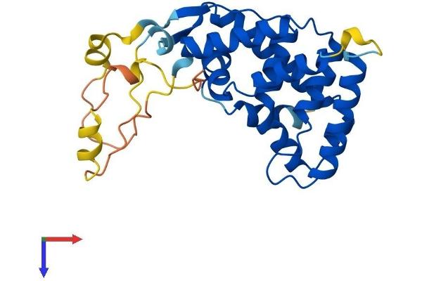 NR0B2 Protein (AA 1-257) (His tag)