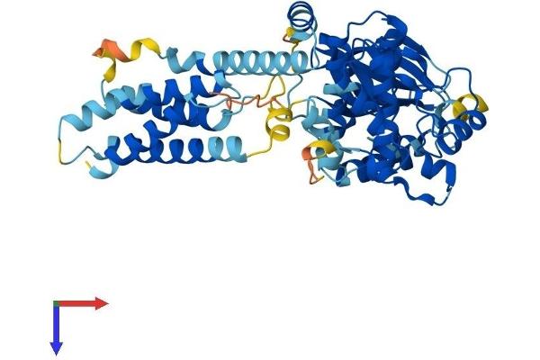 MLKL Protein (AA 1-472) (His tag)
