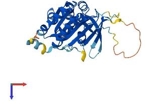 XRCC2 Protein (AA 1-280) (His tag)