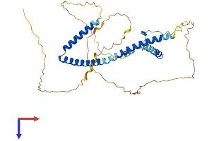 HEXIM1 Protein (AA 1-356) (His tag)