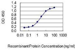 Detection limit for recombinant GST tagged CYP7A1 is 0. (CYP7A1 Antikörper  (AA 179-277))