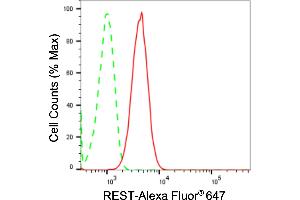 Flow cytometric analysis of REST expression in C2C12 cells using REST antibody (ABIN7800148), 1:2,000). (Rekombinanter REST Antikörper)