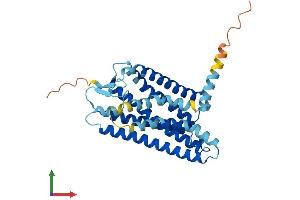 AlphaFold protein structure predicition of Human Recombinant OR5D16 Protein, UniprotID Q8NGK9 (OR5D16 Protein (AA 1-328) (His tag))
