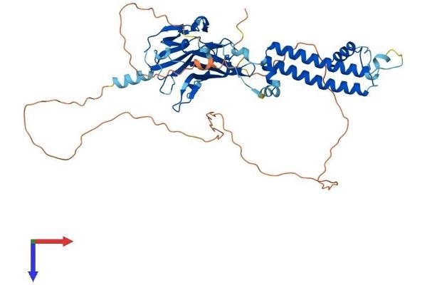 KCNJ3 Protein (AA 1-501) (His tag)