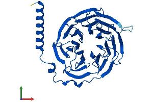 Protein Structure (PS) image for Guanine Nucleotide Binding Protein (G Protein), beta Polypeptide 3 (GNB3) (AA 1-340) protein (His tag) (ABIN7547865)