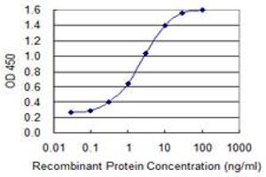 Detection limit for recombinant GST tagged AFP is 0. (alpha Fetoprotein Antikörper  (AA 500-609))