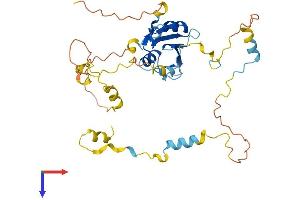 SHD Protein (AA 1-343) (His tag)