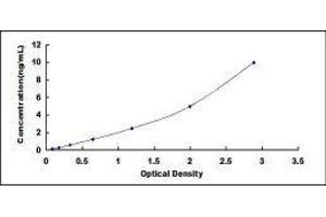 Leptin ELISA Kit