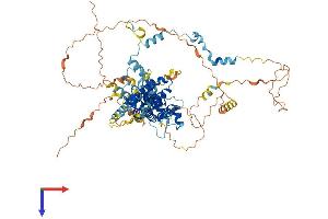 SPIRE2 Protein (AA 1-718) (His tag)