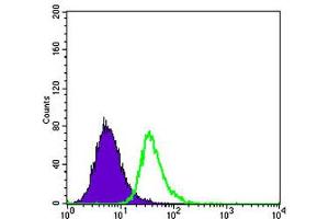 Flow cytometric analysis of HepG2 cells using APOE monoclonal antibody, clone 1H4  (green) and negative control (purple). (APOE Antikörper)