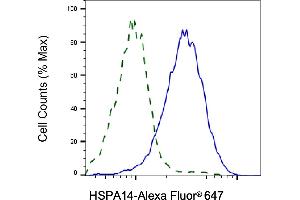 Validation of HSPA14 knockdown using flow cytometry.