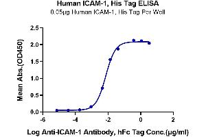 Immobilized Human ICAM-1, His Tag at 0. (ICAM1 Protein (AA 28-480) (His tag))