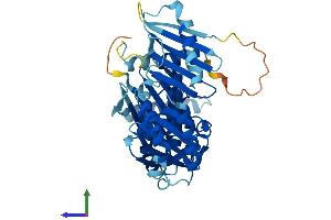 Protein Structure (PS) image for Fuzzy Homolog (FUZ) (AA 1-415) protein (His tag) (ABIN7557315)