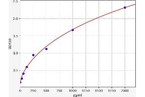 GRK2 ELISA Kit