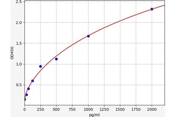 GRK2 ELISA Kit