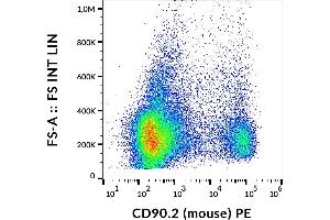 Flow cytometry analysis (surface staining) of murine splenocytes using anti-CD90. (CD90.2 / Thy-1.2 Antikörper  (PE))