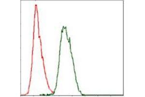 Flow cytometric analysis of Hela cells using COTL1 mouse mAb (green) and negative control (red).