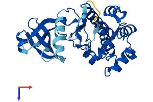 TSSK3 Protein (AA 1-268) (His tag)