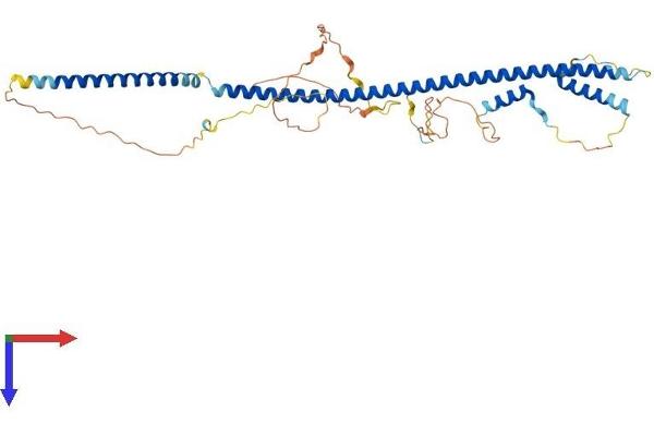 BLZF1 Protein (AA 1-403) (His tag)