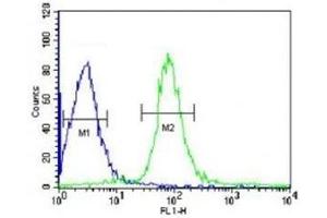 VHL antibody flow cytometric analysis of HepG2 cells (green) compared to a negative control (blue). (VHL Antikörper  (AA 181-210))