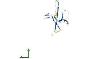 Protein Structure (PS) image for GRIP and Coiled-Coil Domain Containing 1 (GCC1) (AA 1-775) protein (His tag) (ABIN7547917)
