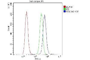 Flow Cytometry analysis of A431 cells using anti- GM130 antibody (ABIN6719432). (Golgin A2 (GOLGA2) (AA 796-913) Antikörper)