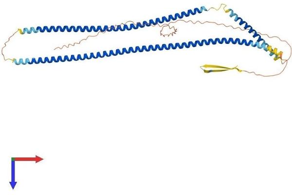 KRT15 Protein (AA 1-452) (His tag)
