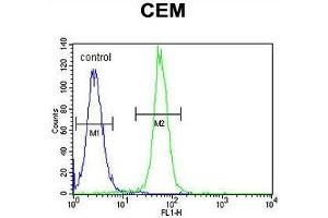 ARL8 Antibody (C-term) flow cytometric analysis of CEM cells (right histogram) compared to a negative control cell (left histogram).