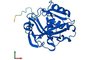 Protein Structure (PS) image for IPP Isomerase 2 (IDI2) (AA 1-227) protein (His tag) (ABIN7548443)