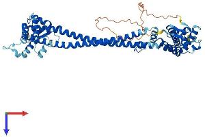 CDK5RAP3 Protein (AA 1-503) (His tag)