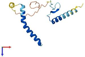 LLPH Protein (AA 1-130) (His tag)