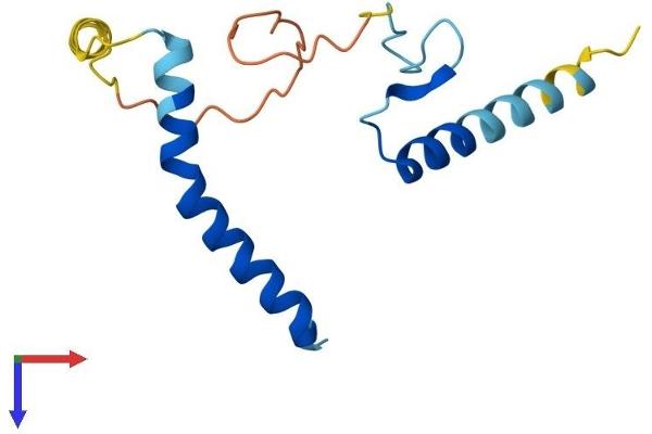 LLPH Protein (AA 1-130) (His tag)