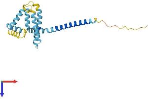 REEP6 Protein (AA 1-201) (His tag)
