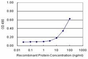 Sandwich ELISA detection sensitivity ranging from 10 ng/mL to 100 ng/mL. (MCM4 (Human) Matched Antibody Pair)