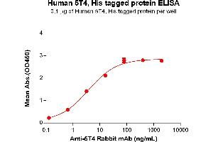 ELISA image for Trophoblast Glycoprotein (TPBG) (AA 32-355) protein (His tag) (ABIN6964086)