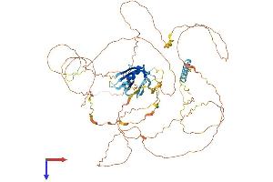 GAB2 Protein (AA 1-676) (His tag)