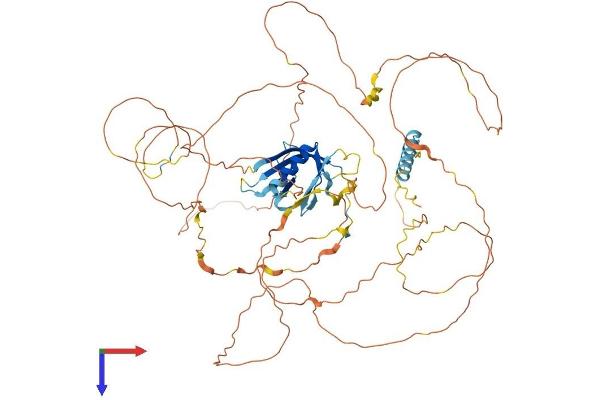 GAB2 Protein (AA 1-676) (His tag)