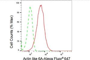 Flow cytometric analysis of Actin like 6A expression in HepG2 cells using Actin like 6A antibody (ABIN7797455), 1:2,000). (Rekombinanter BAF53A Antikörper)