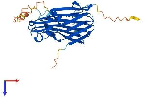 TIPRL Protein (AA 1-271) (His tag)