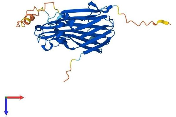 TIPRL Protein (AA 1-271) (His tag)