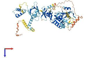 MPP4 Protein (AA 1-635) (His tag)