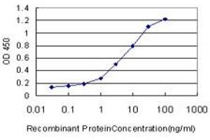 Detection limit for recombinant GST tagged MSR1 is approximately 0. (Macrophage Scavenger Receptor 1 Antikörper  (AA 121-220))