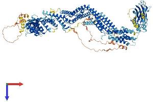 BAIAP3 Protein (AA 1-1187) (His tag)
