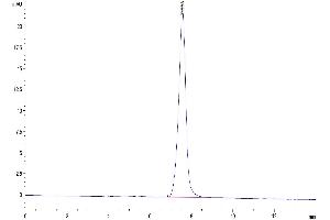 The purity of Mouse BST2 is greater than 95 % as determined by SEC-HPLC. (BST2 Protein (AA 52-152) (Fc Tag))