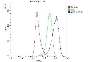 Flow Cytometry analysis of HeLa cells using anti-ASPH antibody (ABIN3043790).