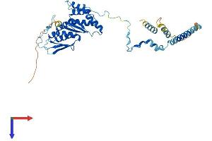 KRR1 Protein (AA 1-380) (His tag)
