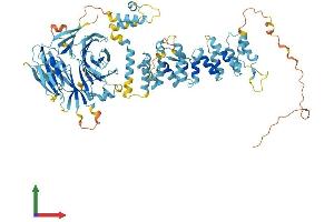Protein Structure (PS) image for Hermansky-Pudlak Syndrome 6 (HPS6) (AA 1-805) protein (His tag) (ABIN7558750)