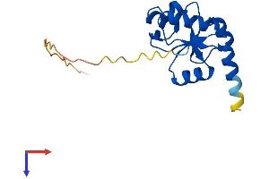 Thiosulfate Sulfurtransferase (Rhodanese)-Like Domain Containing 3 (TSTD3) (AA 1-157) protein (His tag)