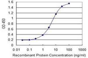 Detection limit for recombinant GST tagged SCEL is 0. (SCEL Antikörper  (AA 2-97))